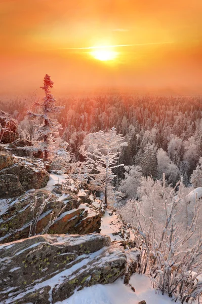 Zimowy poranek — Zdjęcie stockowe