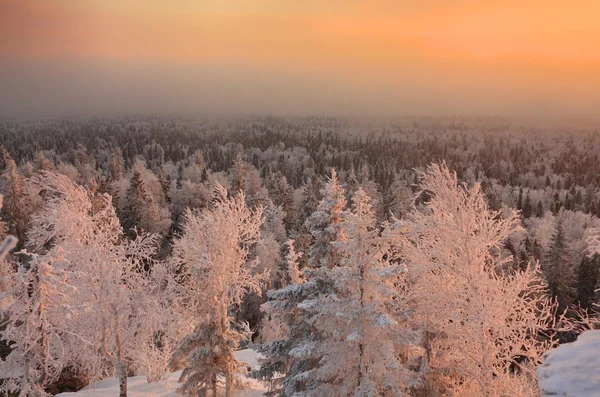 Kış sabahı — Stok fotoğraf