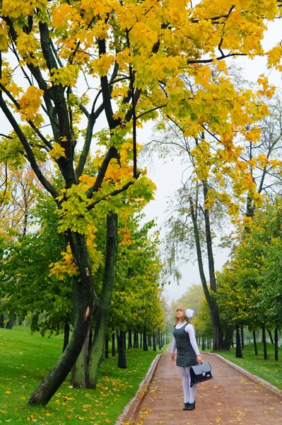 Die Schülerin, die den Herbstpark der Allee hinuntergeht — Stockfoto