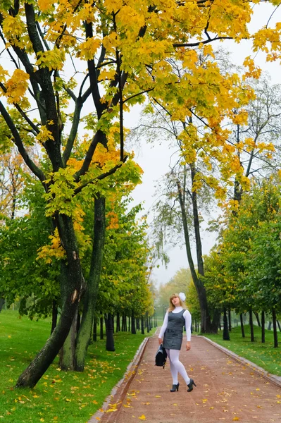 La colegiala caminando por el parque de otoño avenida — Foto de Stock