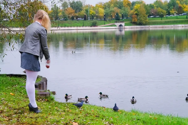 A estudante de alimentar os patos na lagoa, parque de outono — Fotografia de Stock