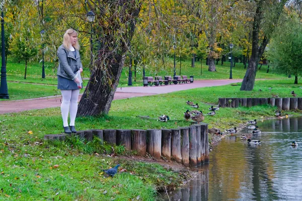 De schoolmeisje voeden de eenden op de vijver, herfst park — Stockfoto