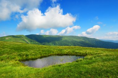 Small lake on meadow and fluffy clouds clipart