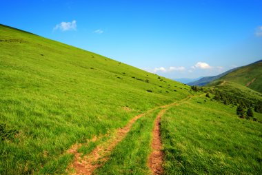 Dirt long road among green hills clipart