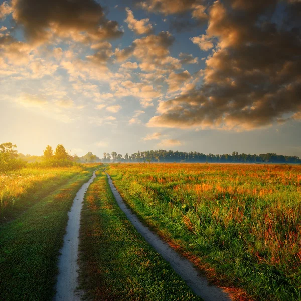Droga w pole i pochmurne niebo — Zdjęcie stockowe