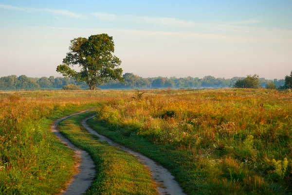 Landelijke weg in veld — Stockfoto