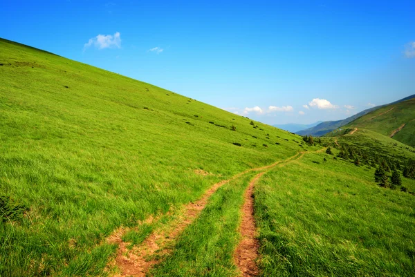 Sujeira longa estrada entre colinas verdes — Fotografia de Stock