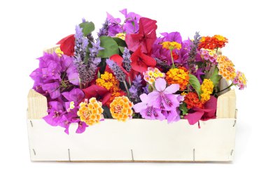 Crate with spring flowers clipart