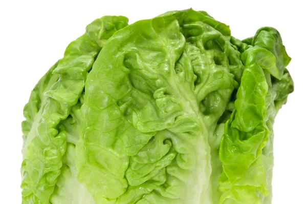 Lettuce heart — Stock Photo, Image