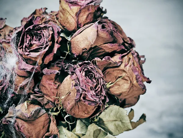 Gruselige getrocknete Blumen — Stockfoto