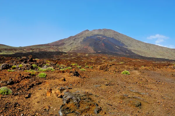 Volcanic landscape in Teide National Park, Tenerife, Canary Isla — Stock Photo, Image