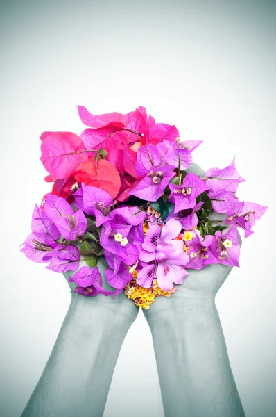 Manos llenas de flores — Foto de Stock