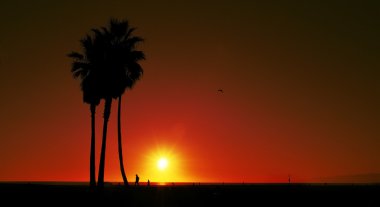 Sunset on Venice Beach, United States clipart