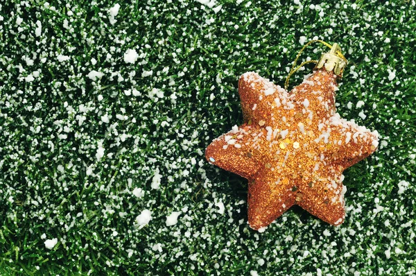 Étoile de Noël sur l'herbe avec neige — Photo