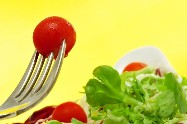 Plate of salad — Stock Photo, Image