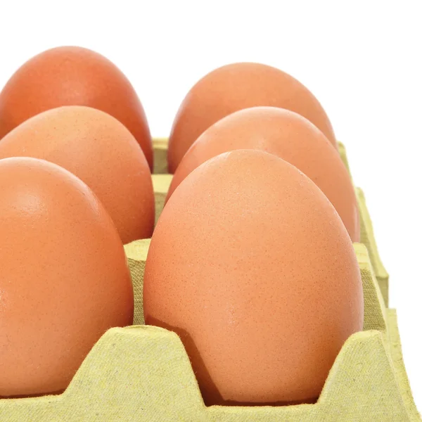 Hnědá vejce — Stock fotografie