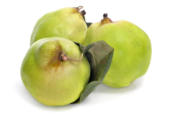 Frutti di mela cotogna — Foto Stock