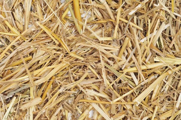 Golden straw — Stock Photo, Image