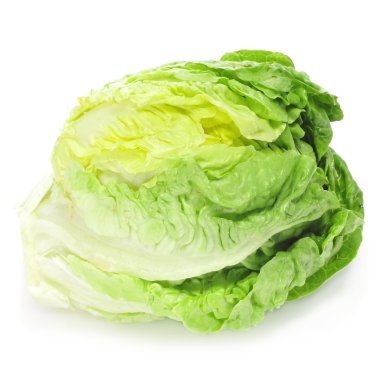 Iceberg lettuce clipart