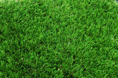 Grass background clipart