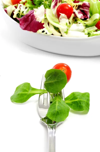 Salade à la fourchette — Photo