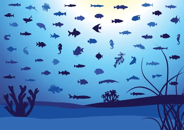 Fish silhouettes underwater. — Stock Vector