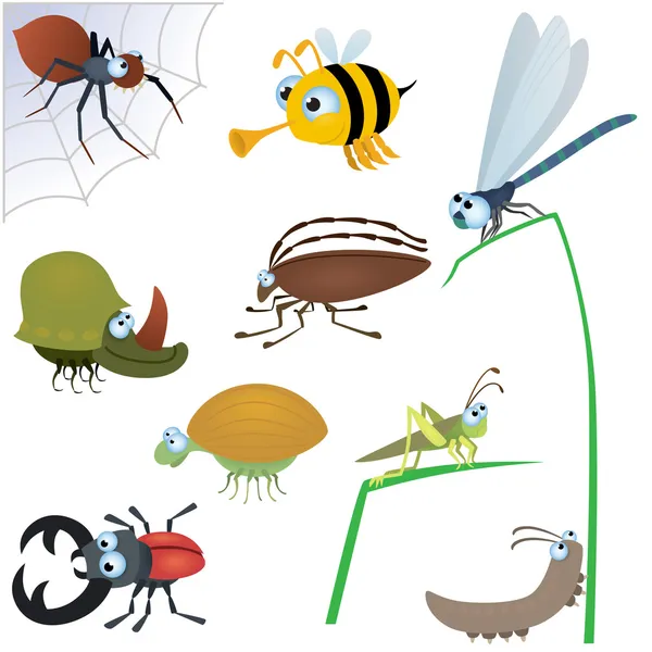 Funny insect set — Stock Vector