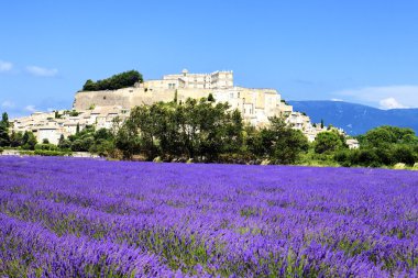 Grignan with lavender clipart