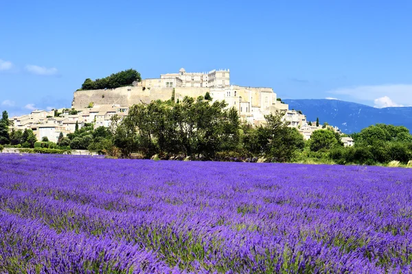 Grignan with lavender — Stock Photo, Image