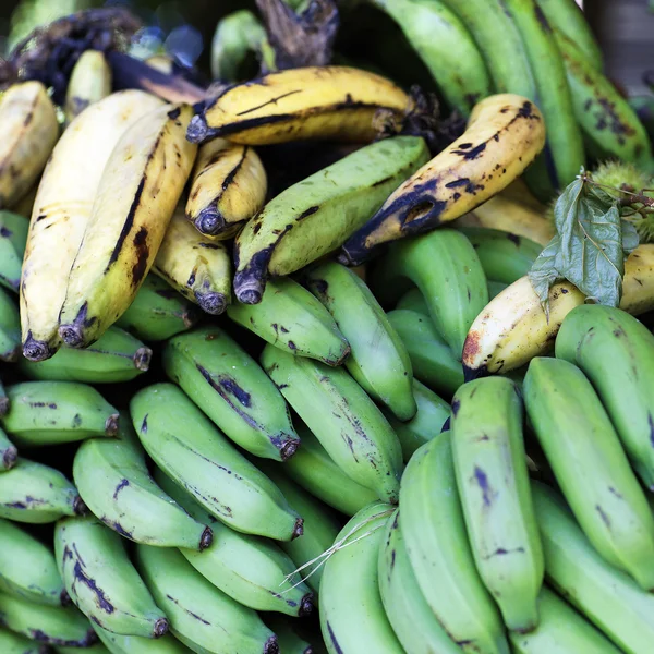 stock image Green and yellow bananas