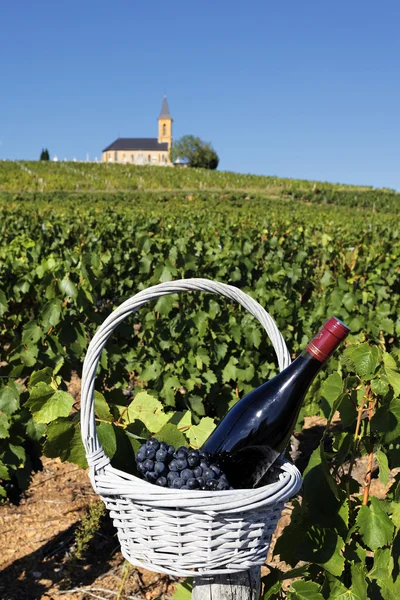 Franse wijn — Stockfoto