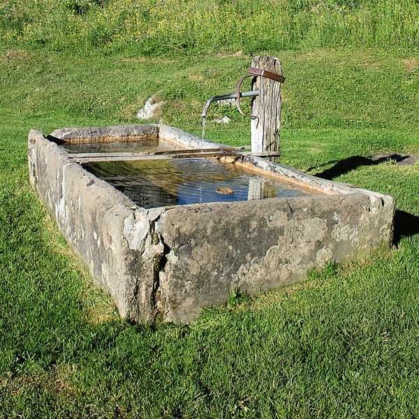 Альпийский фонтан и трава — стоковое фото