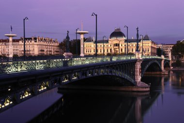 Bridge in Lyon by night in autumn clipart
