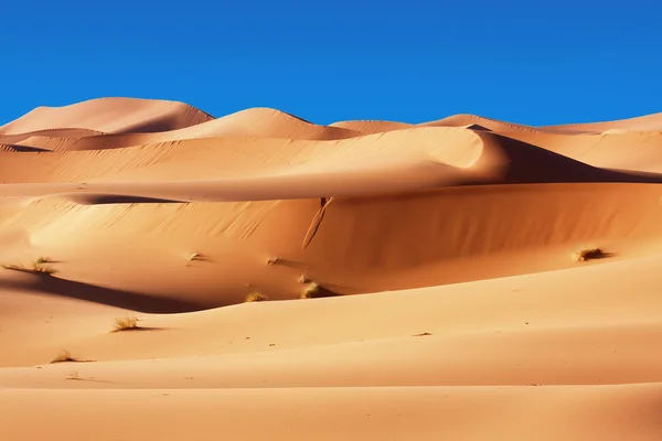 Moroccan desert dunes — Stock Photo, Image