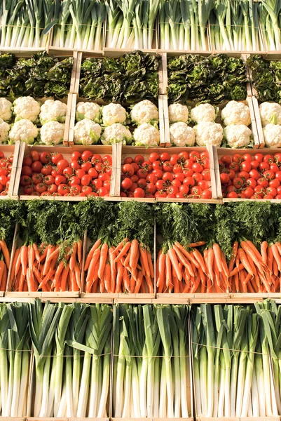 Különböző típusú zöldségek — Stock Fotó
