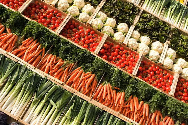 Grönsaker anda — Stockfoto
