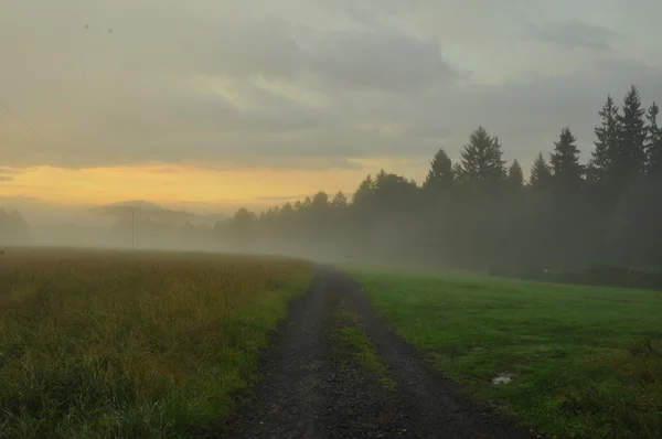 多雾的早晨 — 图库照片