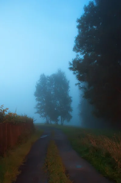 Albero su mattina nebbioso tempo — Foto Stock