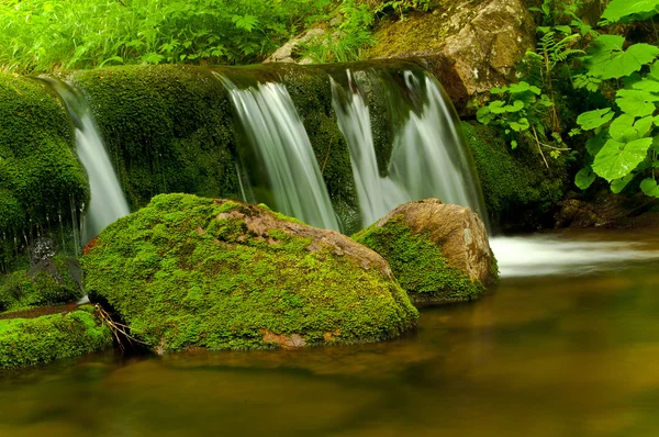 Nice brook — Stock Photo, Image