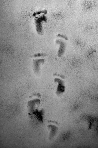 stock image Baby footprint