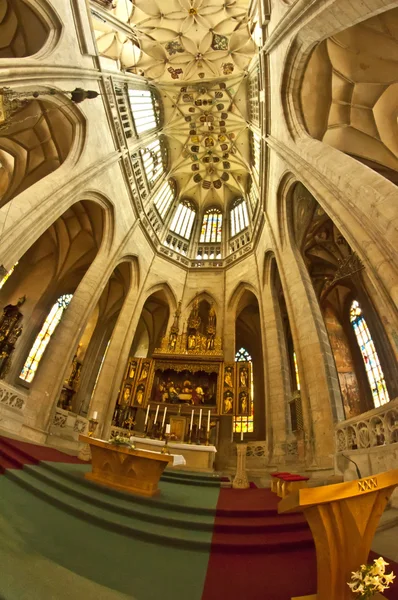 Katedral — Stockfoto