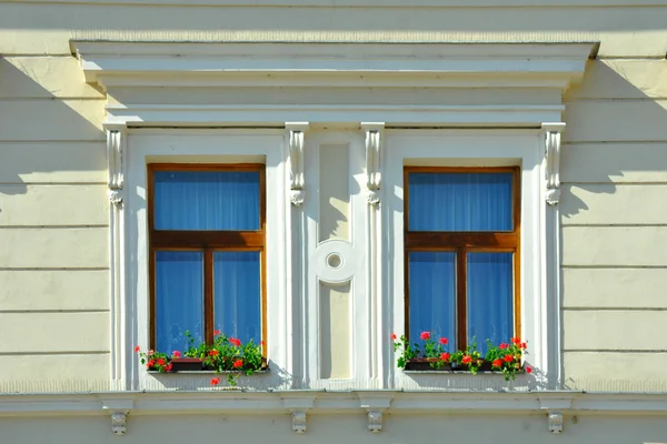 eski windows