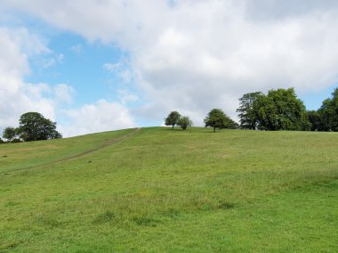 Primrose Hill, London clipart