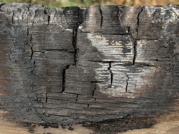 Сжигаемая древесина — стоковое фото