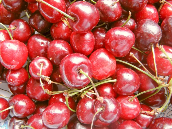 stock image Cherry