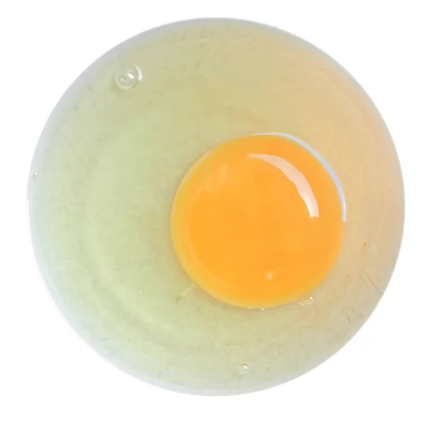 Immagine dell'uovo — Foto Stock