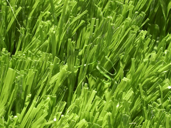 人工の草原 — ストック写真