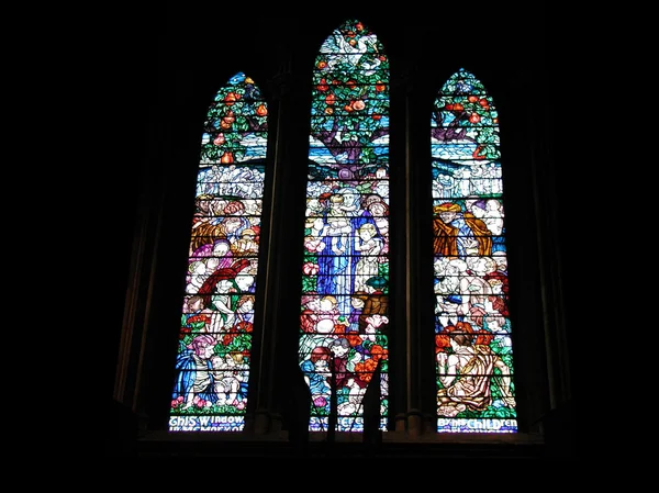 Katedrála skleněné okno — Stock fotografie