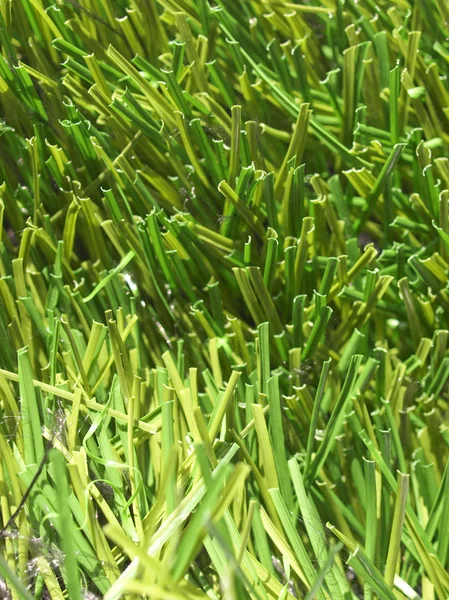 Artificial grass — Stock Photo, Image