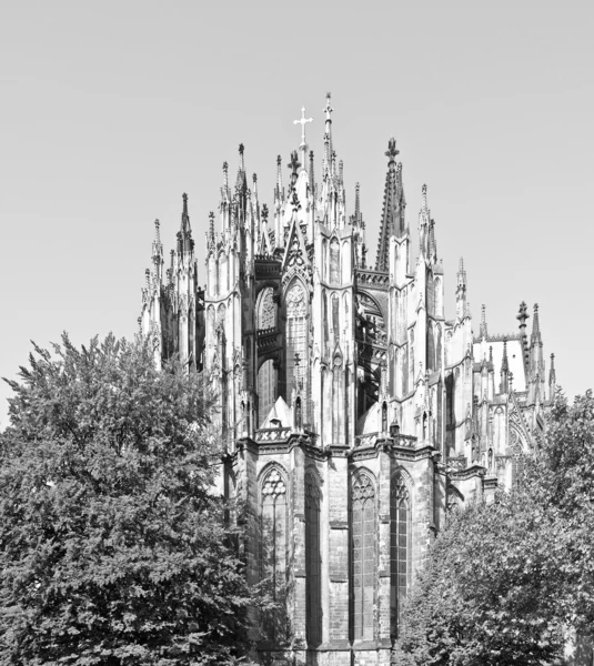 Коэльнский собор — стоковое фото